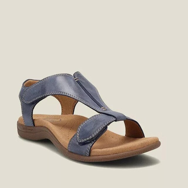 Dark Blue / 43